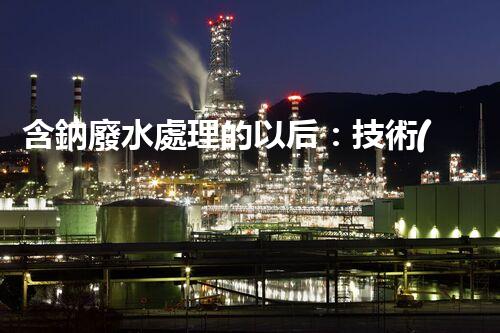 含鈉廢水處理的以后：技術(shù)革新與環(huán)保挑戰(zhàn)！